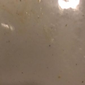 Meet your Posher, Noah